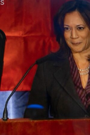 Élection américaine 2024 : « Kamala Harris a fait une contre-performance sur tous les tableaux »